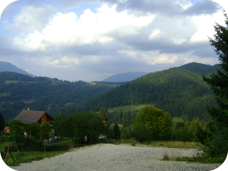 Contact Taxi Predeal